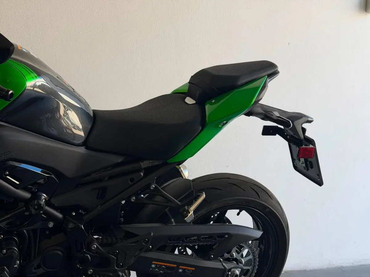 Kawasaki Z 900 (2025 - 26) (9)