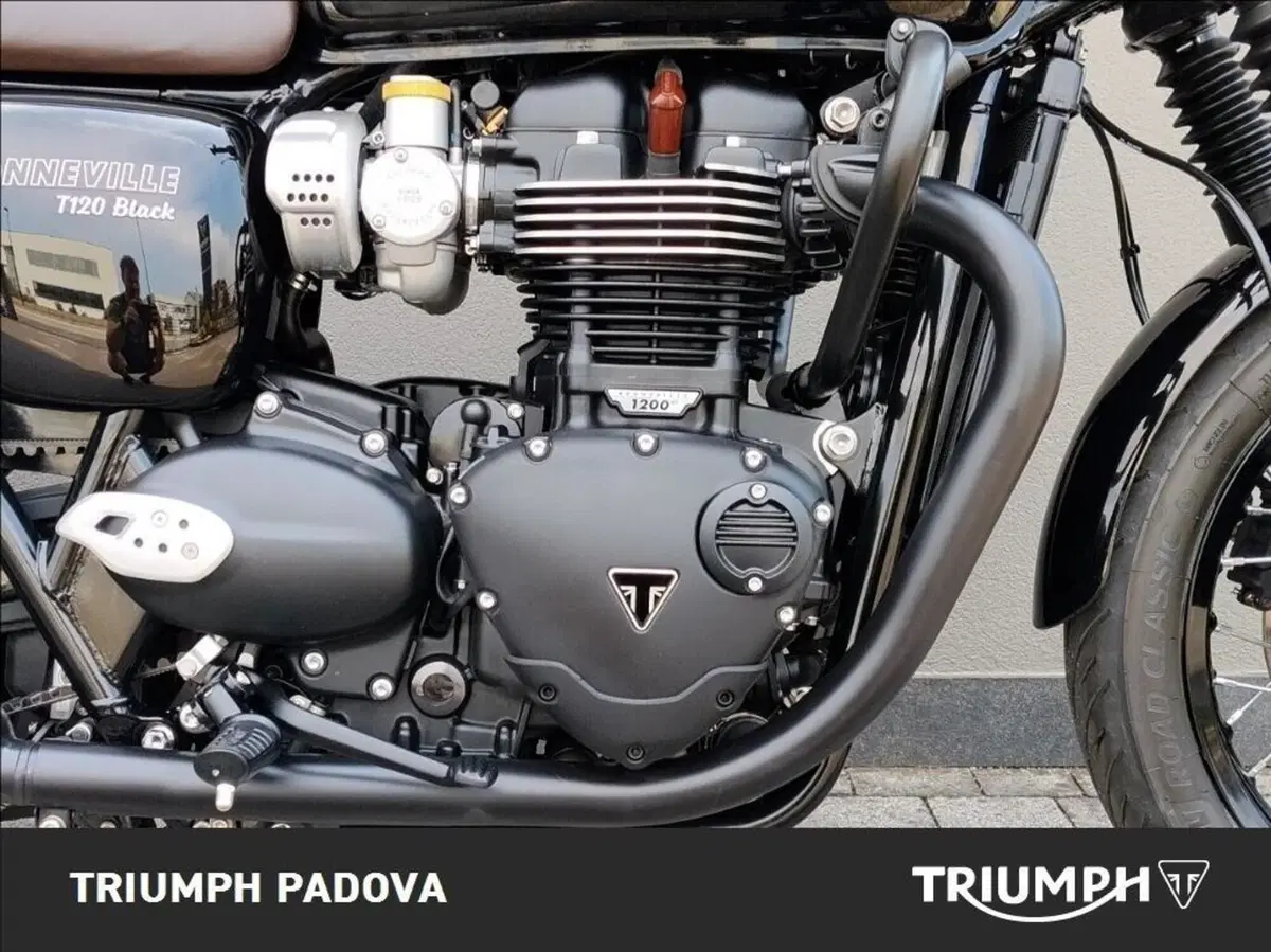 Triumph Bonneville T120 Black (2026) (3)