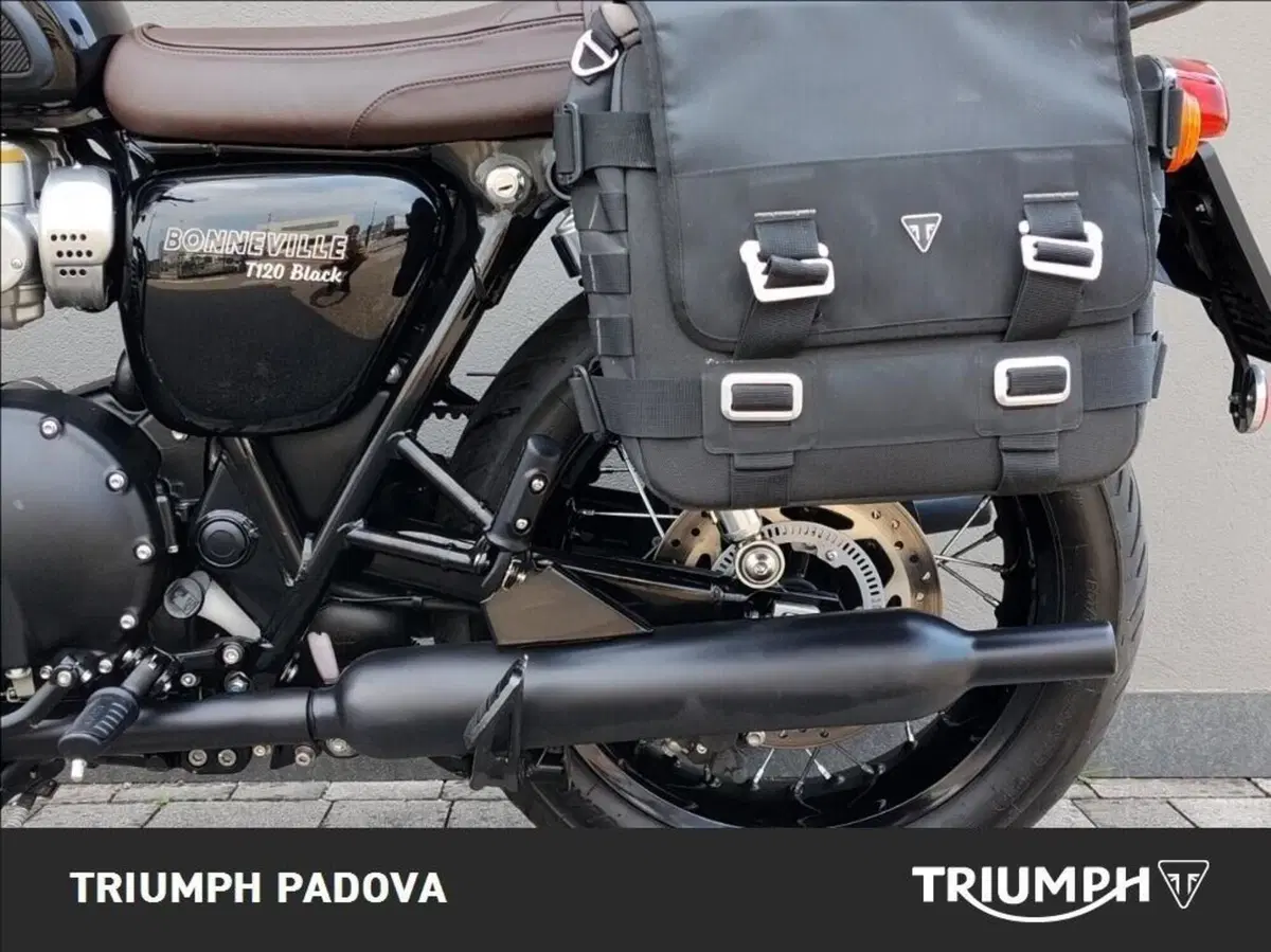 Triumph Bonneville T120 Black (2026) (7)