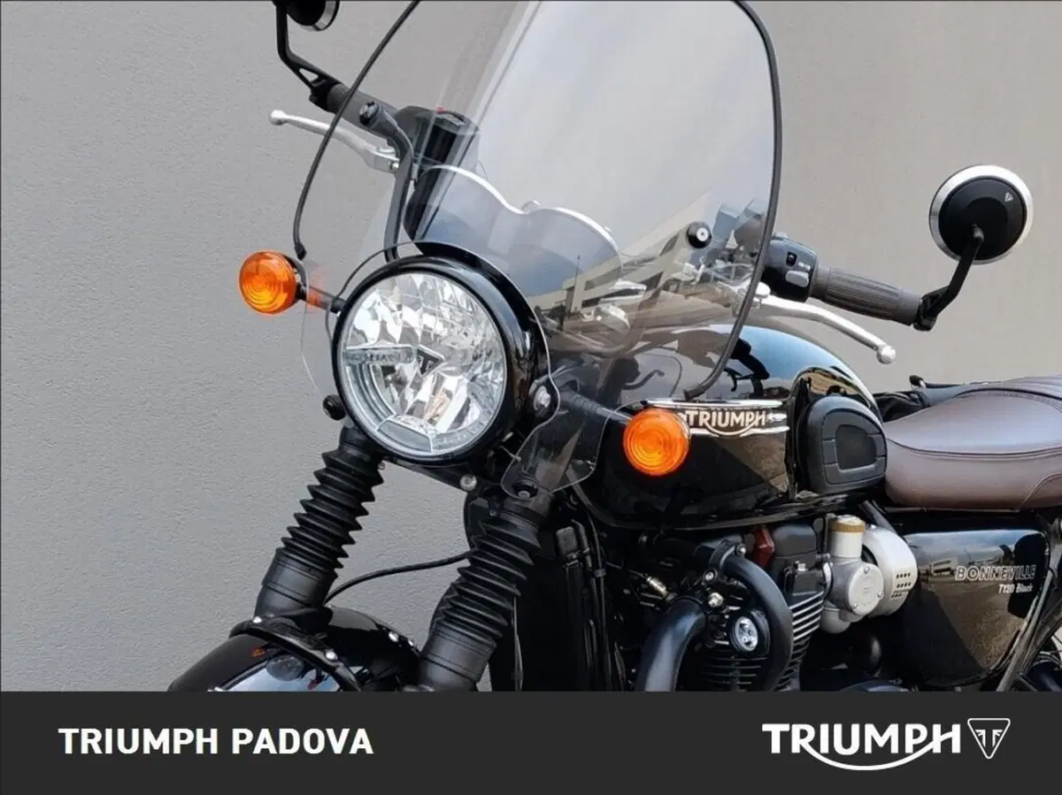Triumph Bonneville T120 Black (2026) (10)