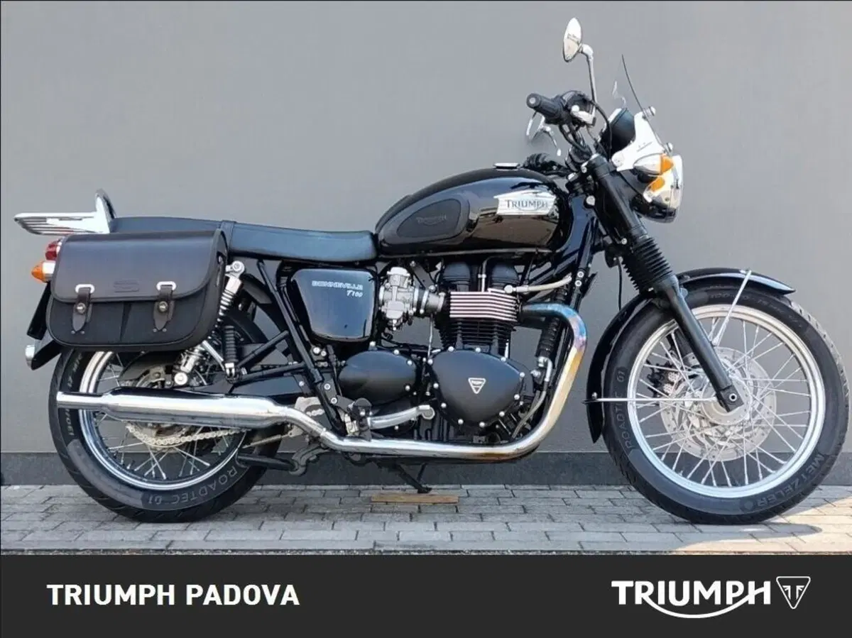 Triumph Bonneville T100 (2008 - 16) (2)