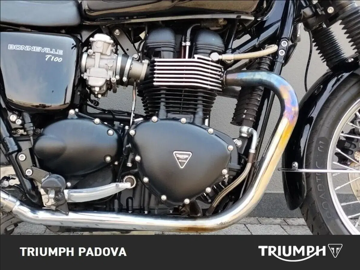 Triumph Bonneville T100 (2008 - 16) (6)