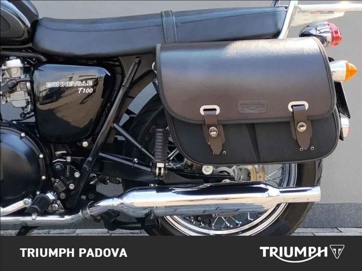Triumph Bonneville T100 (2008 - 16) (14)