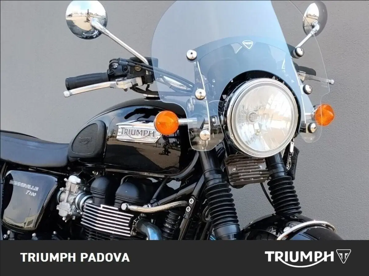 Triumph Bonneville T100 (2008 - 16) (10)