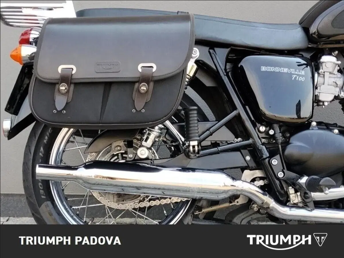 Triumph Bonneville T100 (2008 - 16) (4)