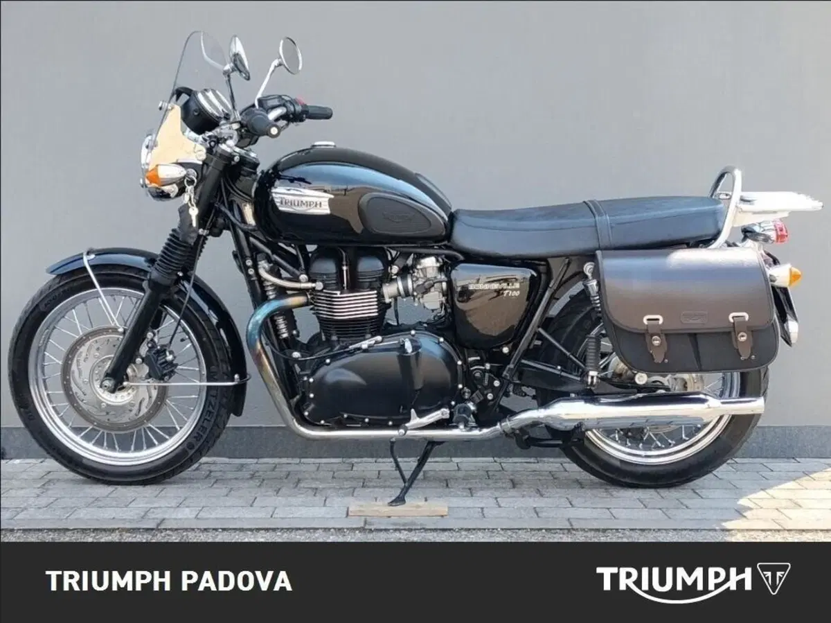 Triumph Bonneville T100 (2008 - 16) (12)
