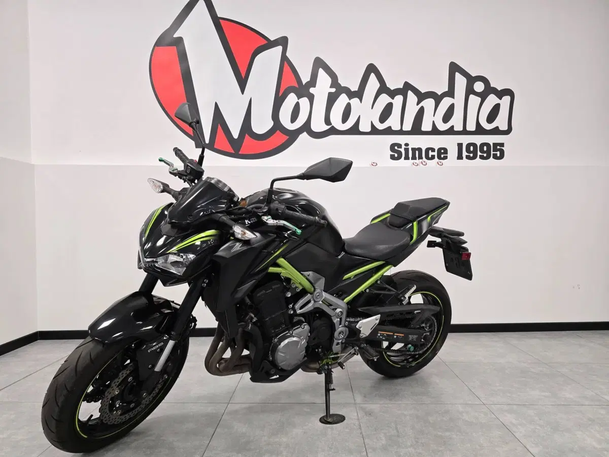 Kawasaki Z 900 (2019) (2)
