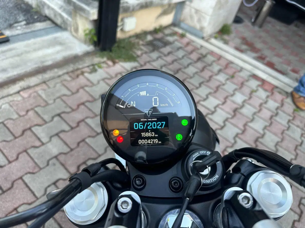 Triumph Speed Twin 900 (2025 - 26) (7)