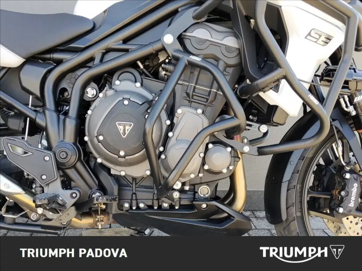 Triumph Tiger 1200 Alpine Edition (2020) (3)