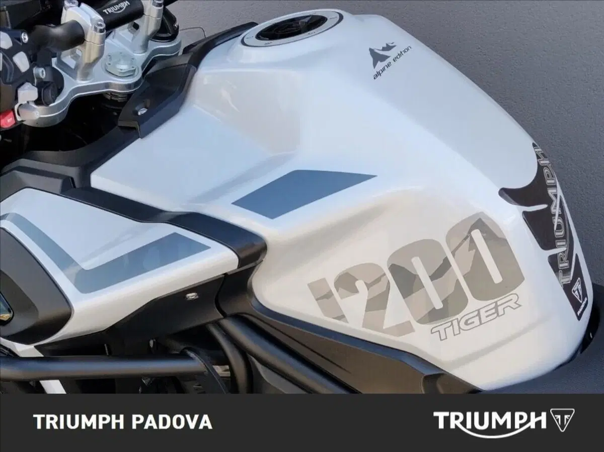 Triumph Tiger 1200 Alpine Edition (2020) (9)
