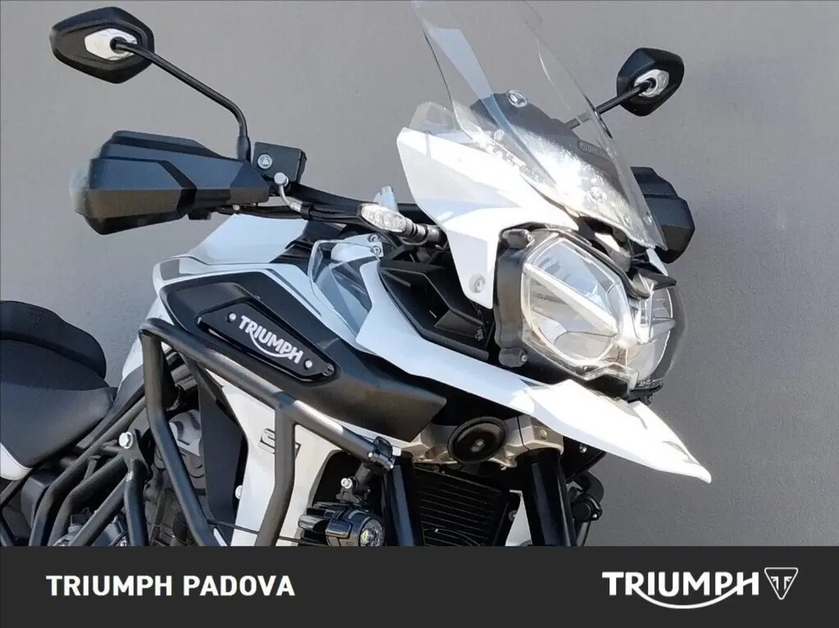 Triumph Tiger 1200 Alpine Edition (2020) (5)