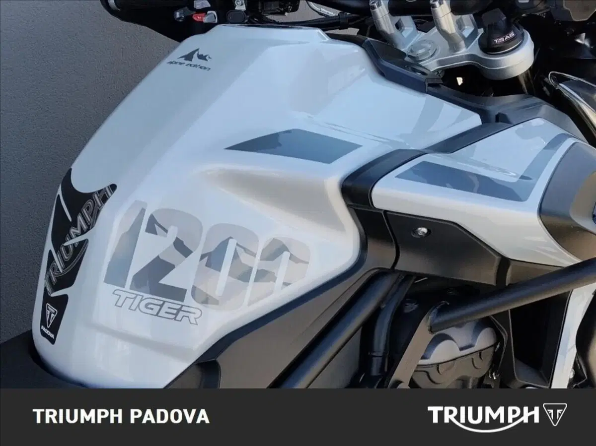 Triumph Tiger 1200 Alpine Edition (2020) (4)