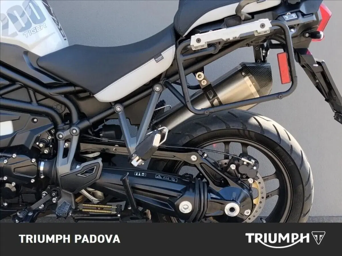 Triumph Tiger 1200 Alpine Edition (2020) (7)