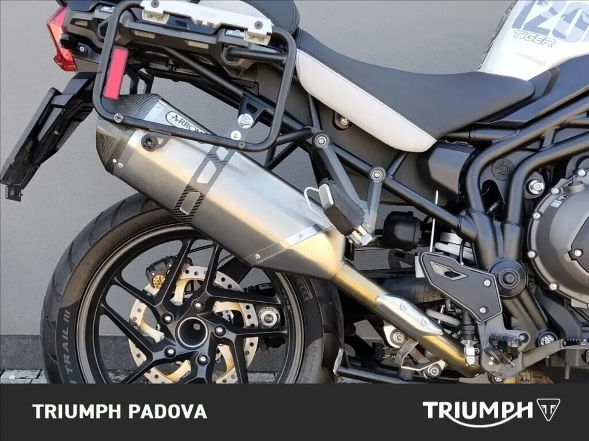 Triumph Tiger 1200 Alpine Edition (2020) (2)