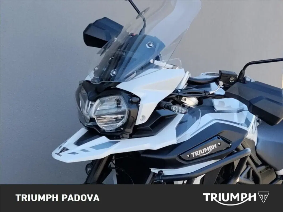 Triumph Tiger 1200 Alpine Edition (2020) (10)
