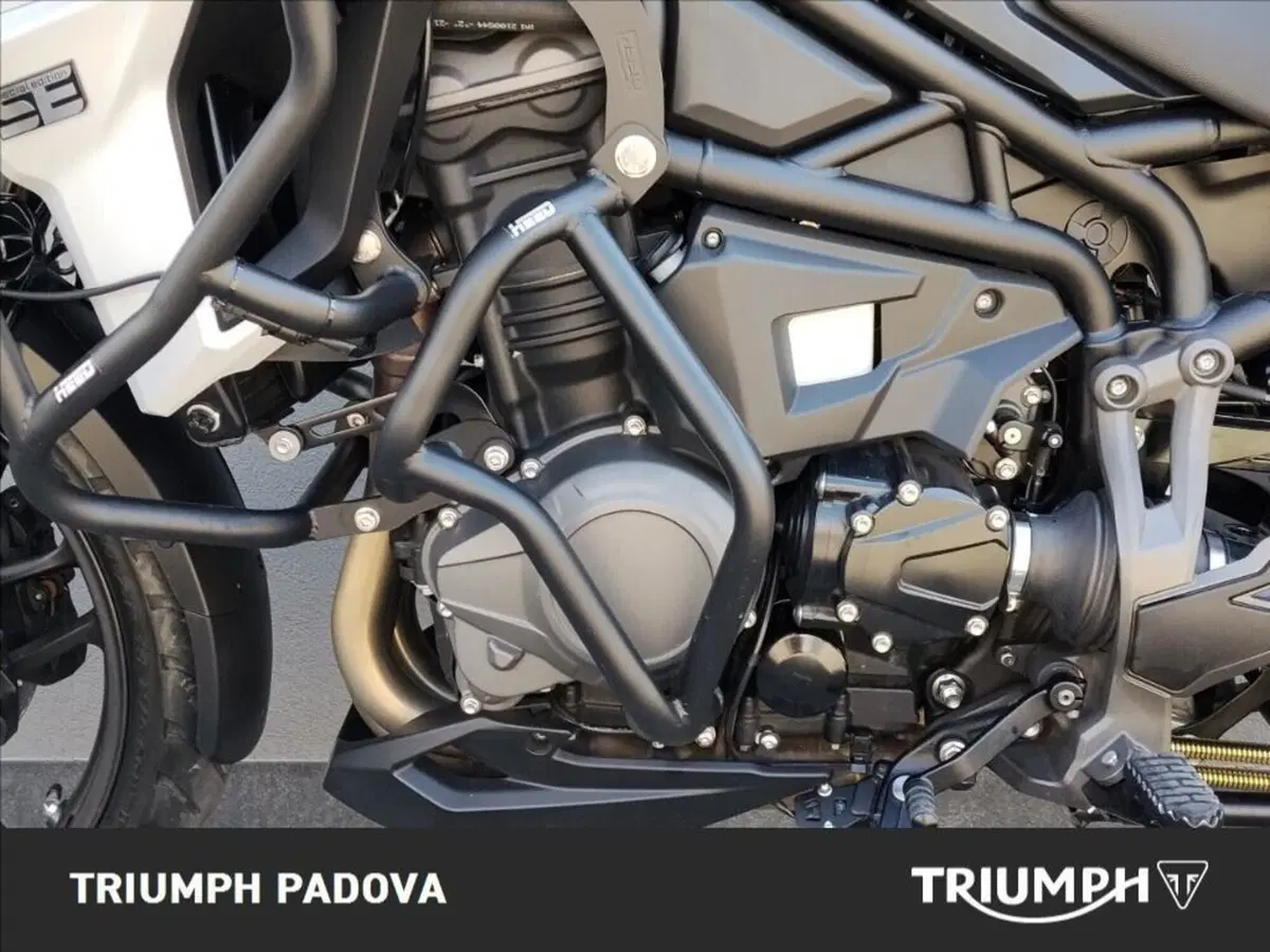 Triumph Tiger 1200 Alpine Edition (2020) (8)