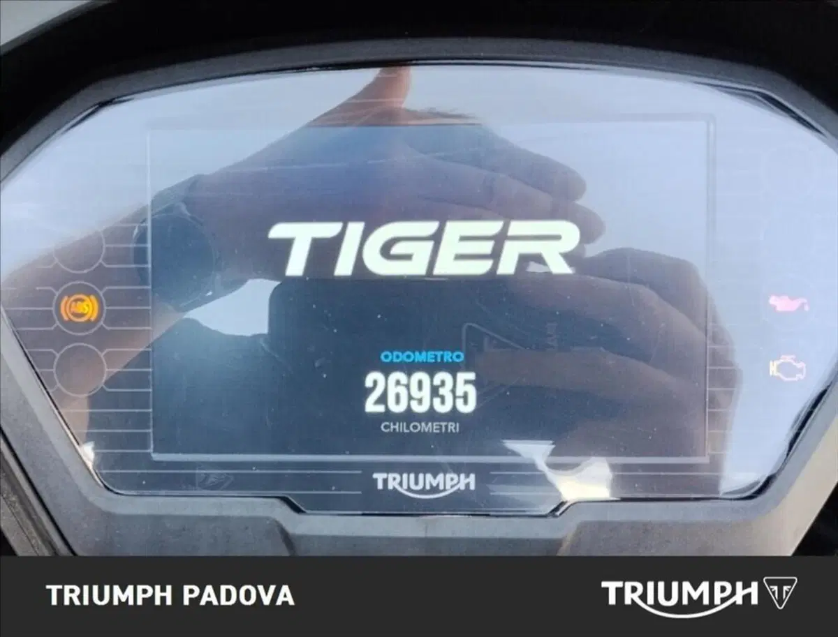 Triumph Tiger 1200 Alpine Edition (2020) (13)