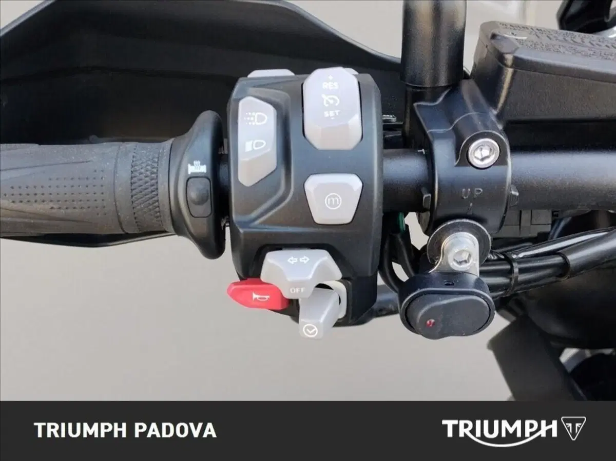 Triumph Tiger 1200 Alpine Edition (2020) (12)