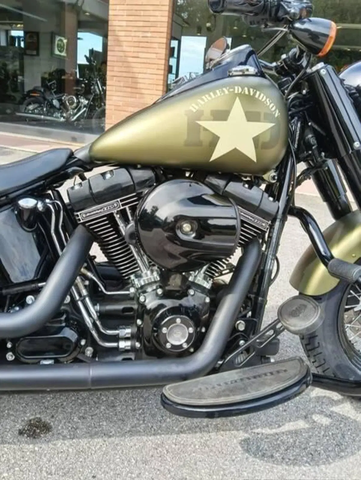 Harley-Davidson 1800 Slim S (2015 - 17) - FLS (3)