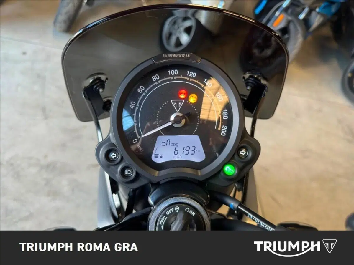 Triumph Speed Twin 900 (2023 - 24) (4)