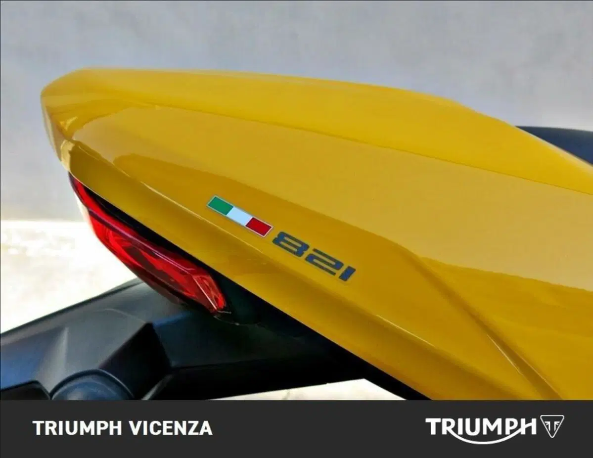 Ducati Monster 821 (2018 - 20) (10)
