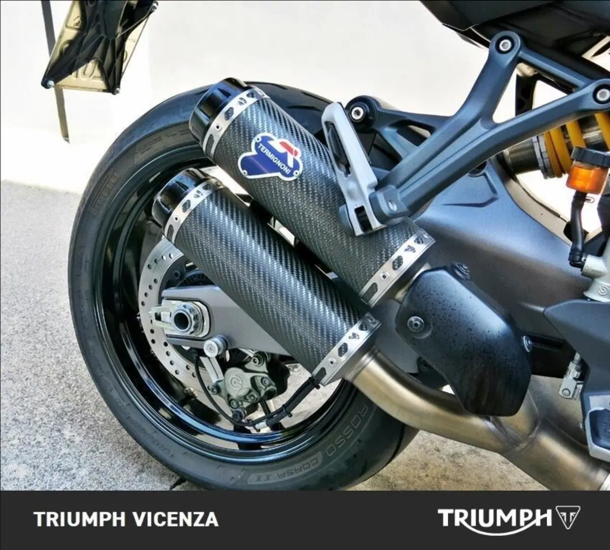 Ducati Monster 821 (2018 - 20) (13)