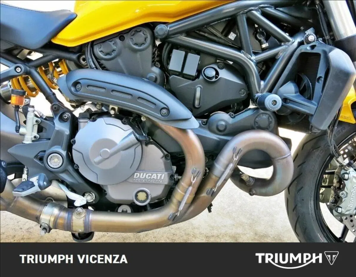 Ducati Monster 821 (2018 - 20) (12)