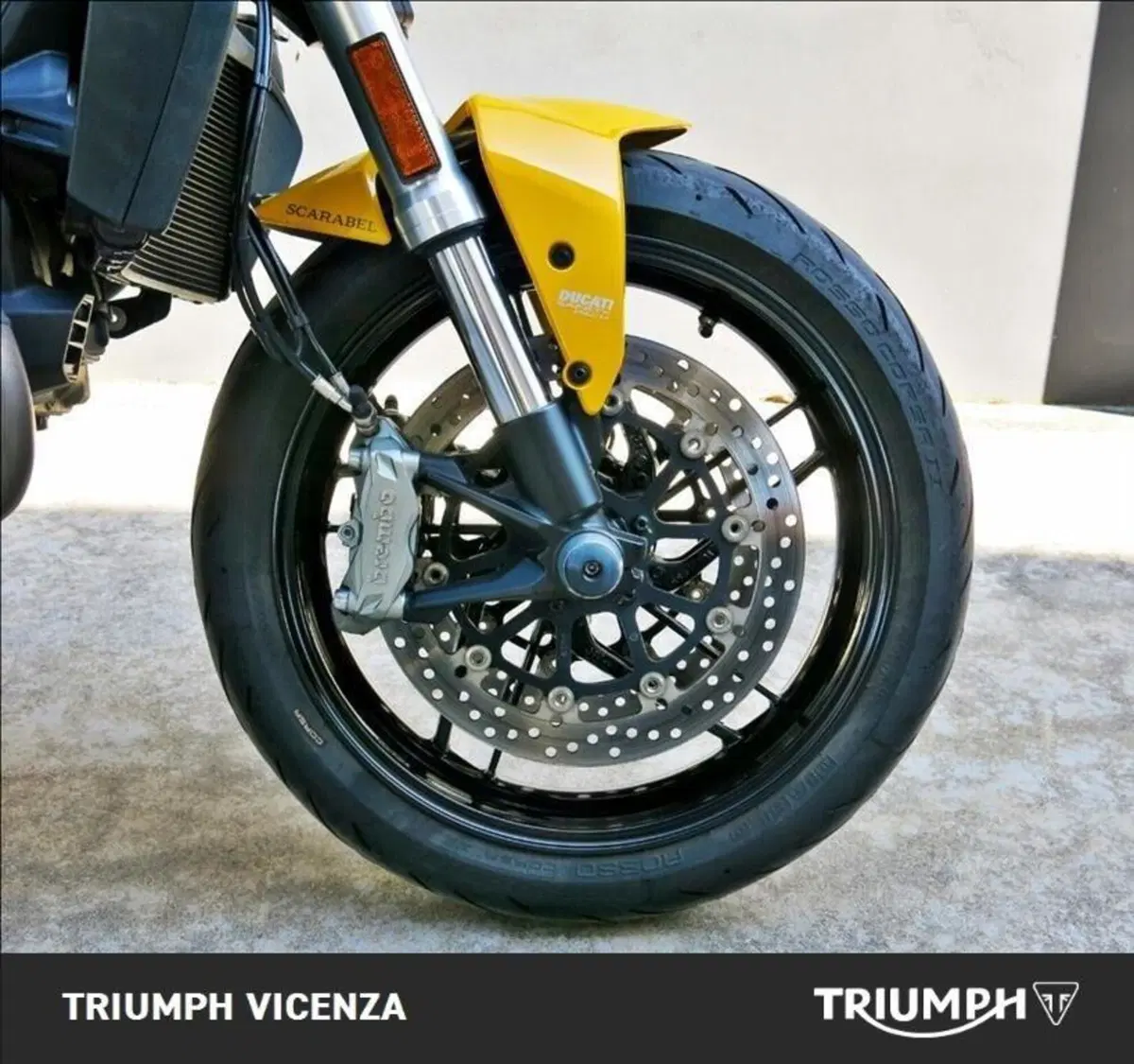 Ducati Monster 821 (2018 - 20) (14)