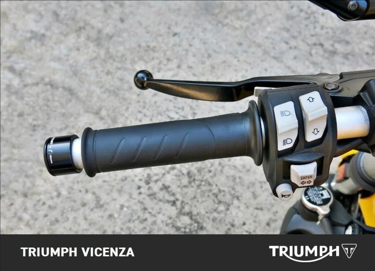 Ducati Monster 821 (2018 - 20) (16)