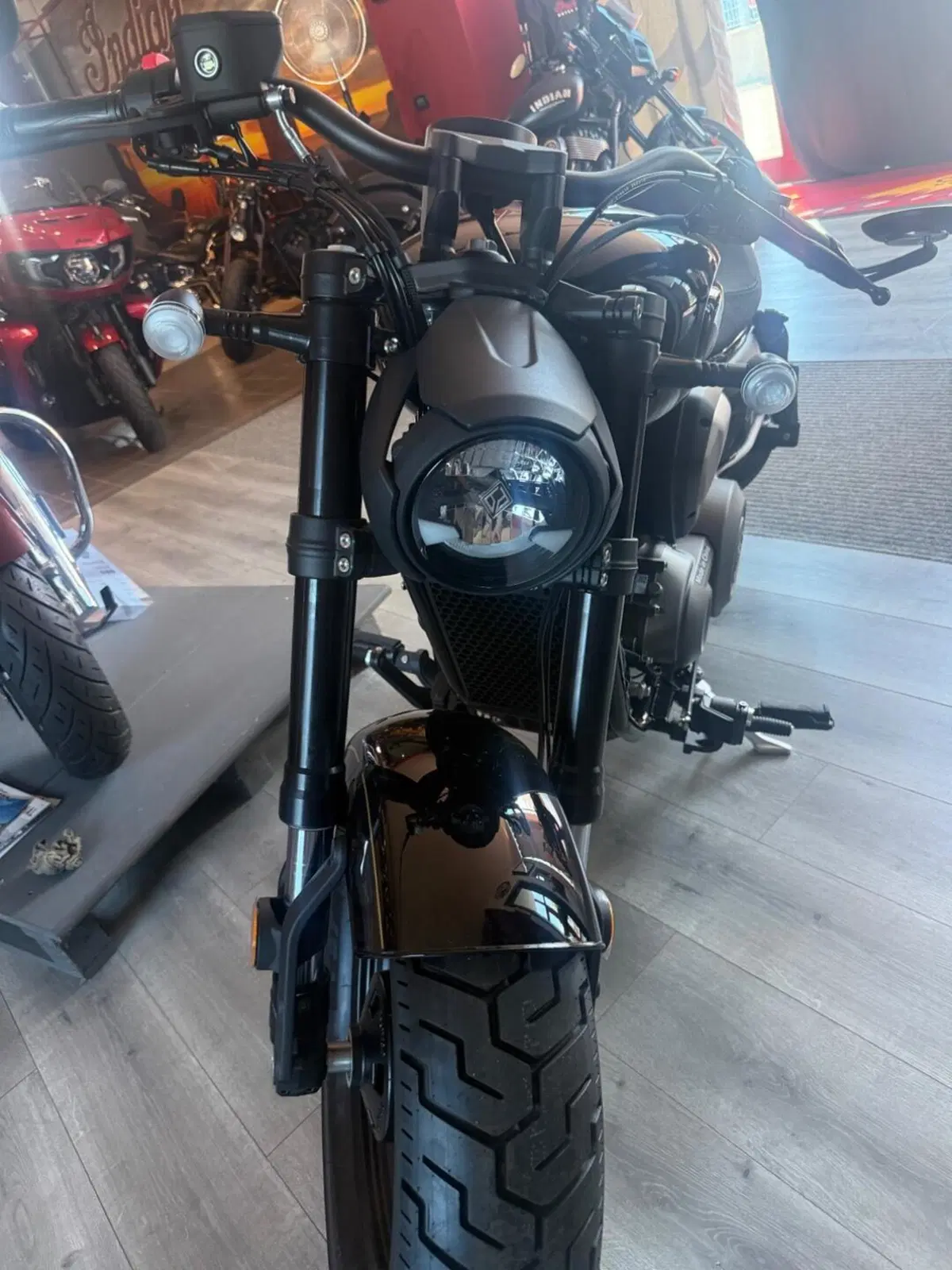 Benda Motorcycles Chinchilla 500 V2 (2025 - 26)