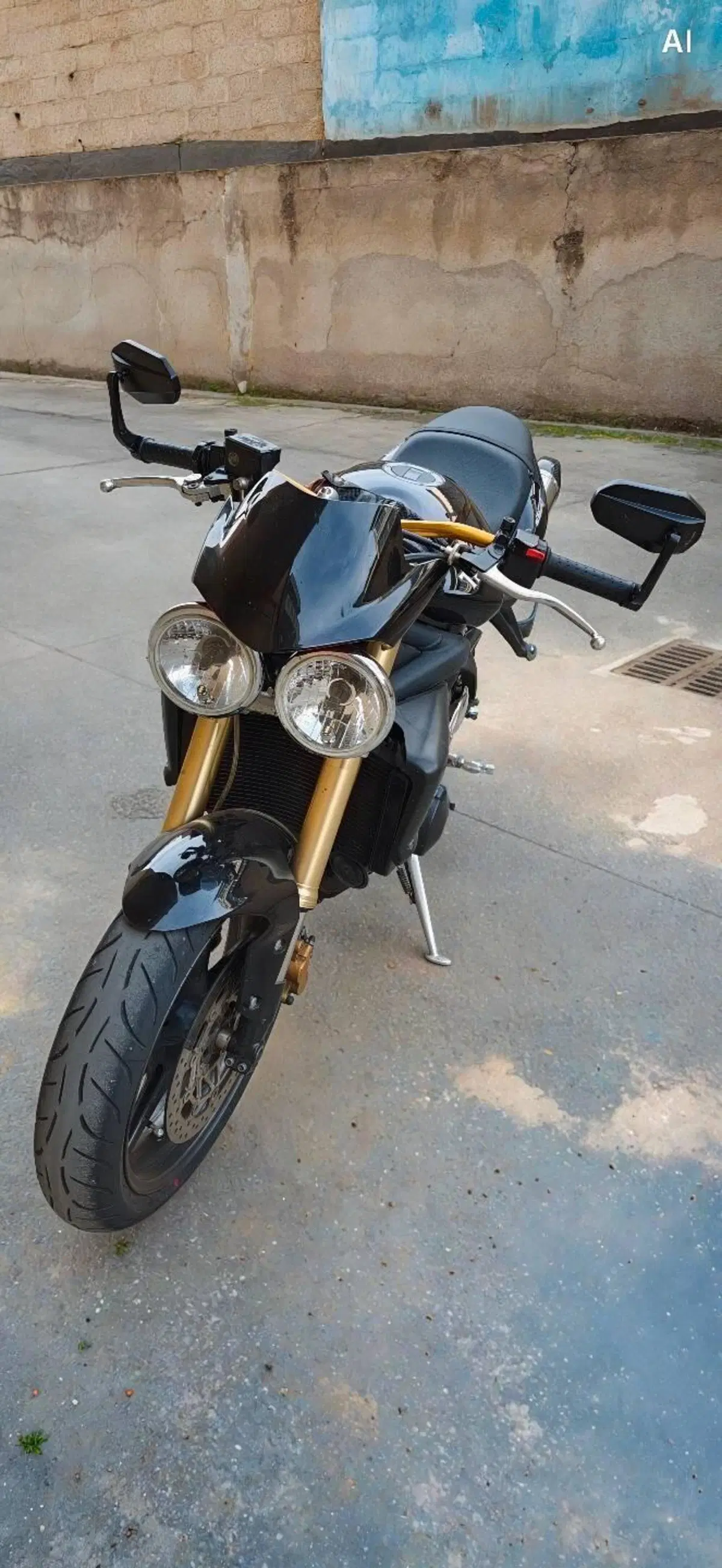 Triumph Street Triple (2007 - 12) (2)