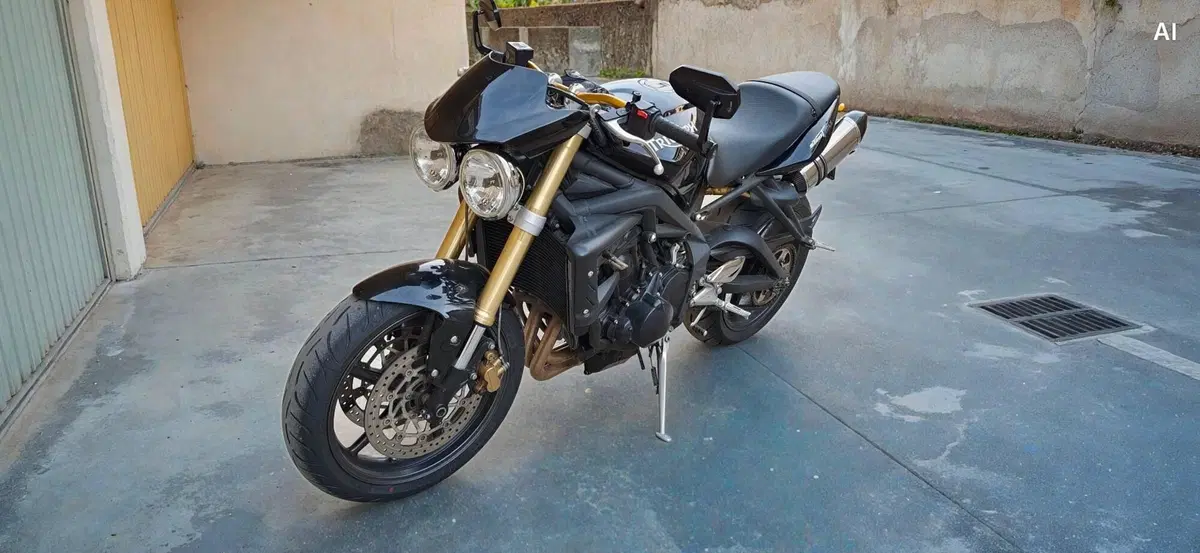 Triumph Street Triple (2007 - 12) (3)