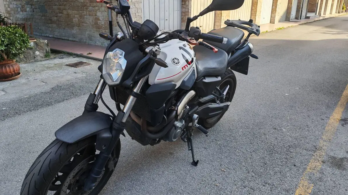 Yamaha MT-03 (2006 - 14) (3)