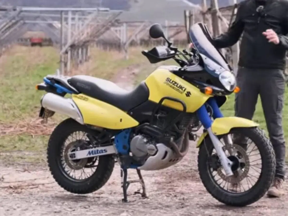 Suzuki XF 650 Freewind (1997 - 03) (4)