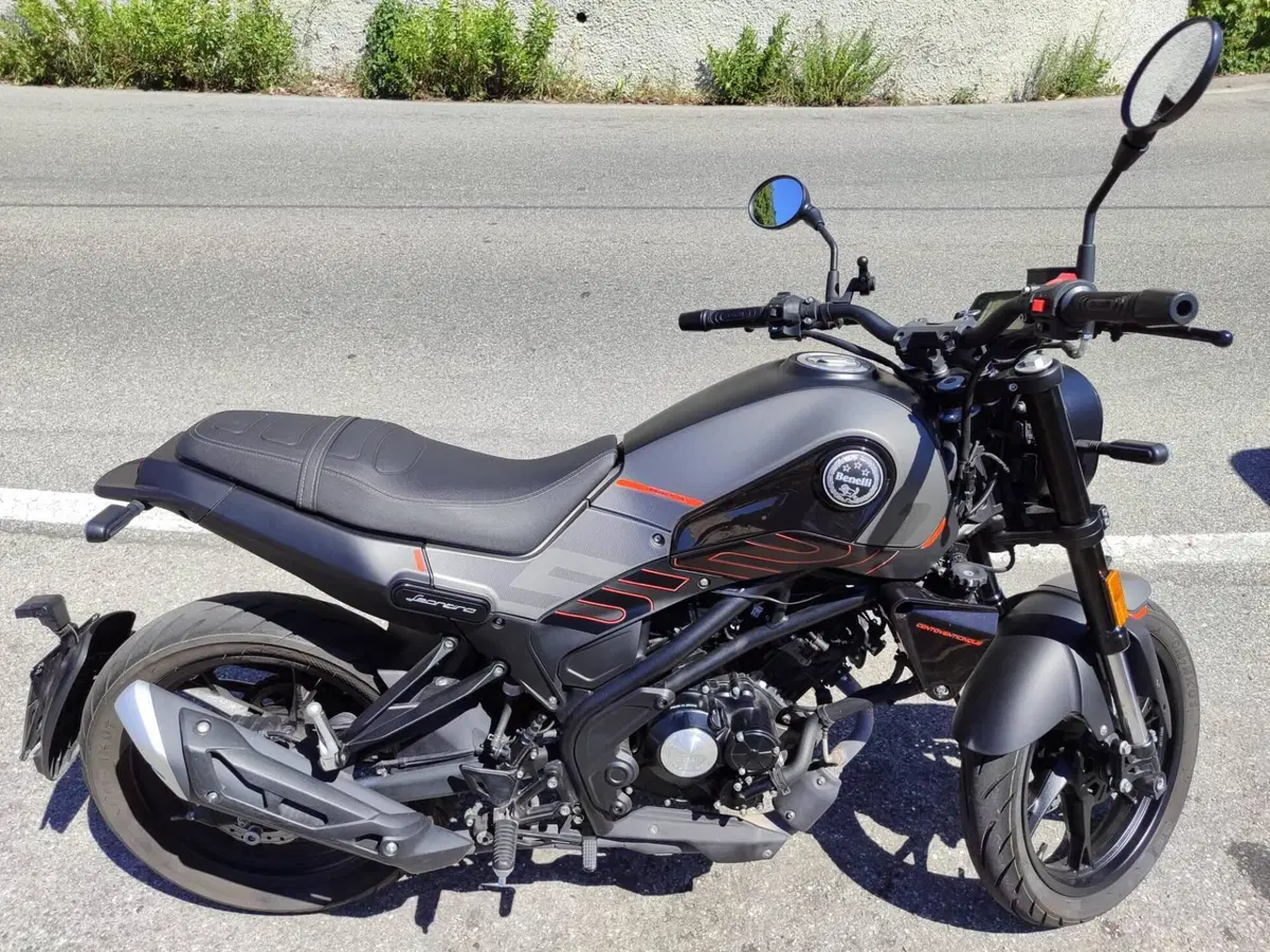 Benelli Leoncino 125 (2022 - 25) (2)