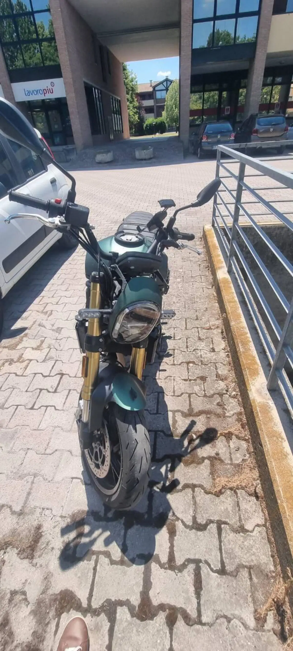 Benelli Leoncino 800 (2022 - 26) (4)