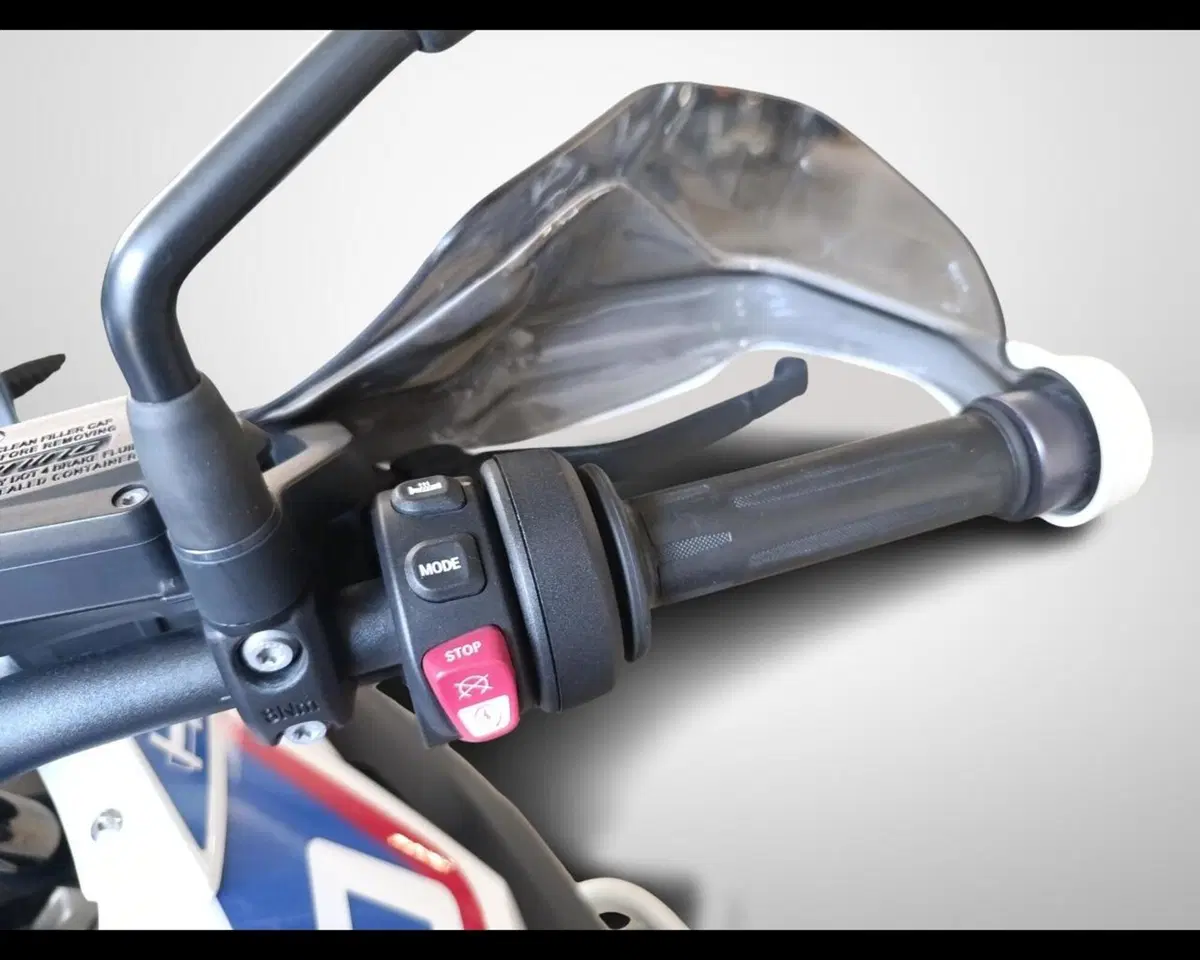 Bmw R 1250 GS (2021 - 24) (10)
