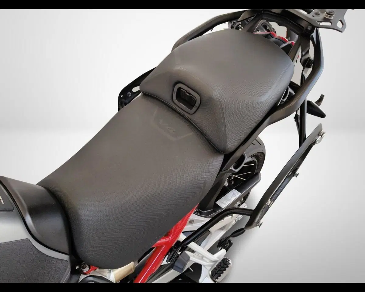 Ducati Multistrada V4 1100 S Sport (2021) (26)