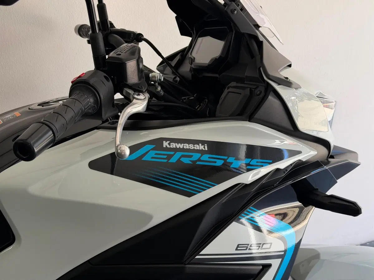 Kawasaki Versys 650 (2025 - 26) (3)