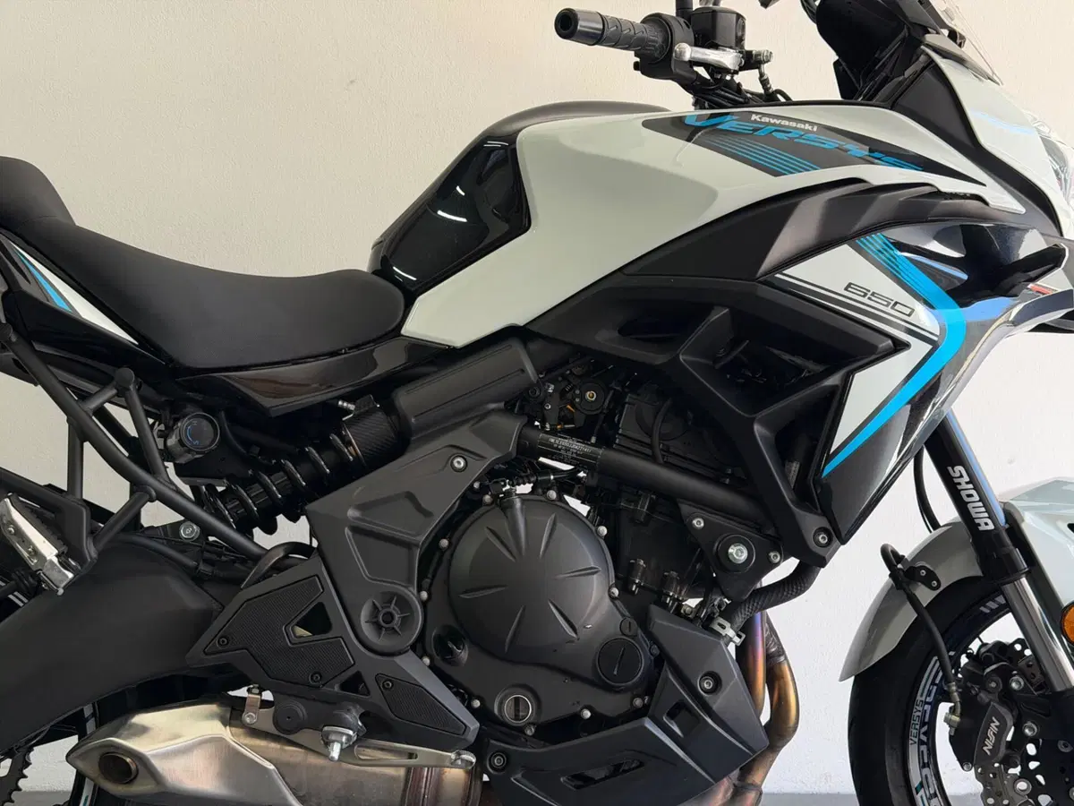 Kawasaki Versys 650 (2025 - 26) (4)