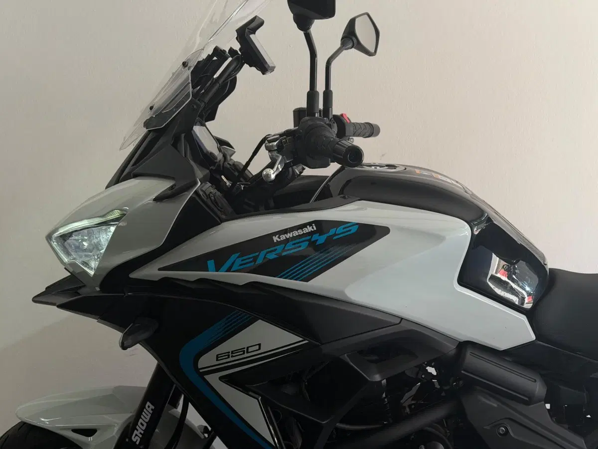 Kawasaki Versys 650 (2025 - 26) (11)