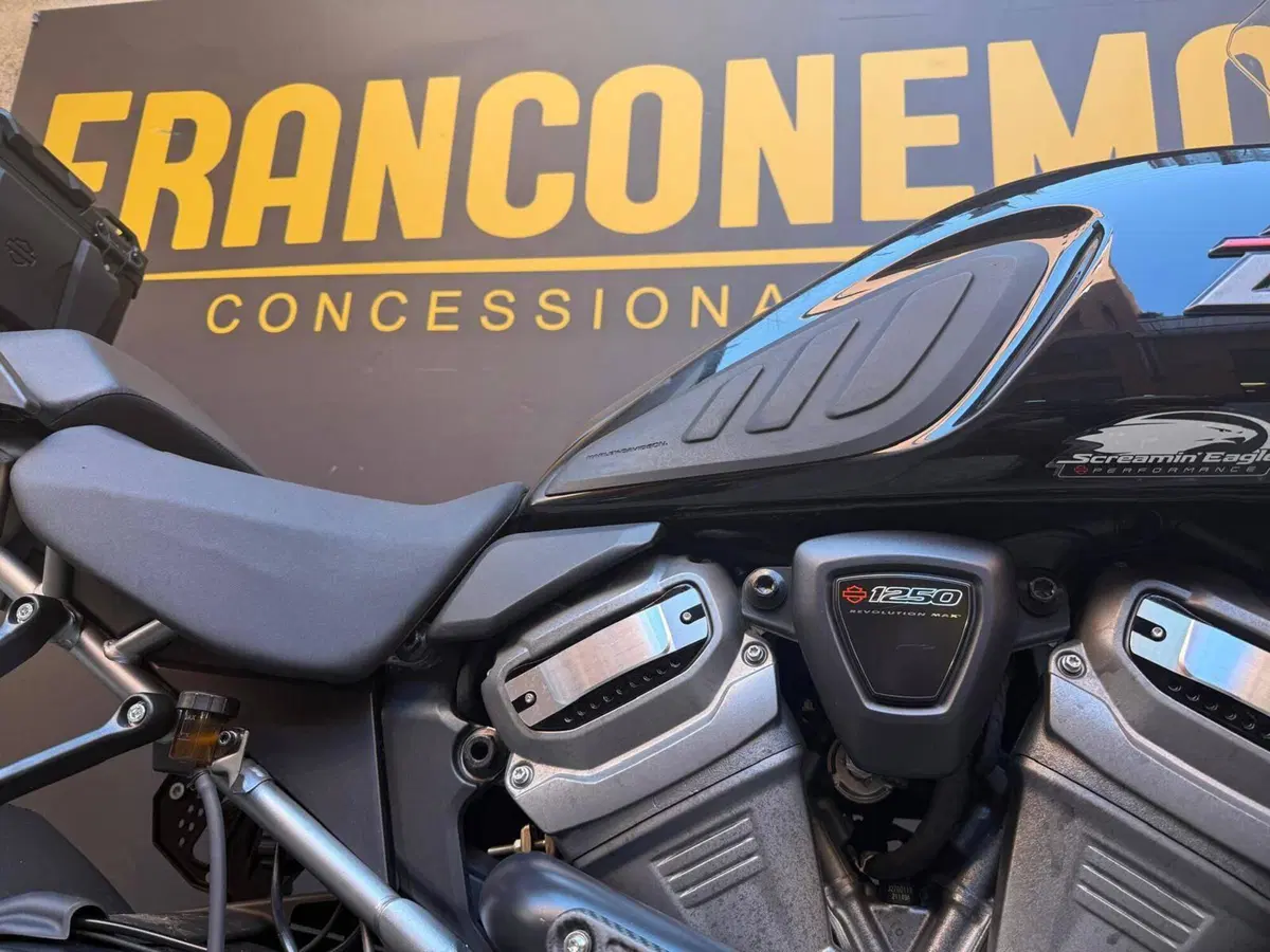 Harley-Davidson Pan America 1250 (2020 - 25) (6)