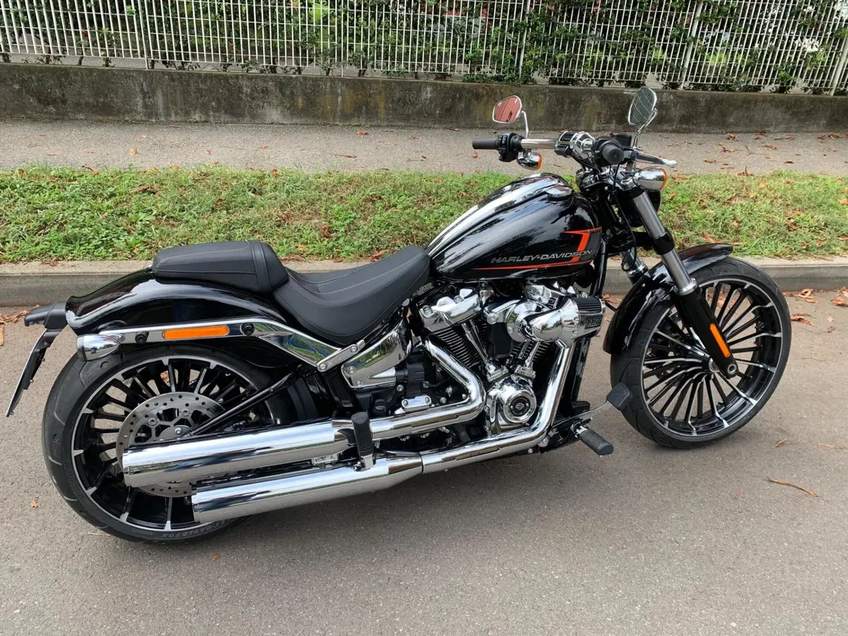 Harley-Davidson Softail Standard (2020) - FXST (3)