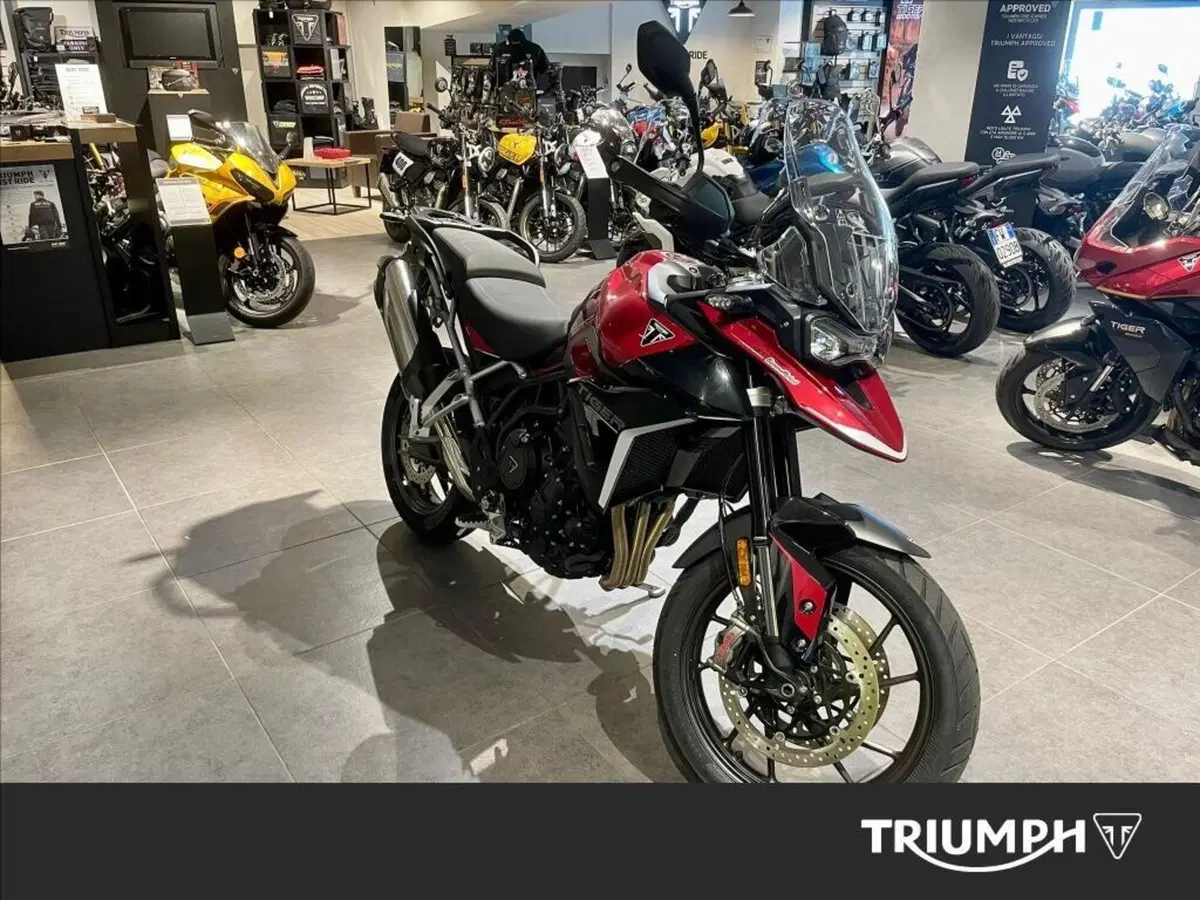 Triumph Tiger 900 GT (2024 - 26)