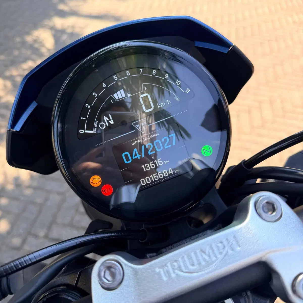 Triumph Trident 660 (2021 - 24) (6)