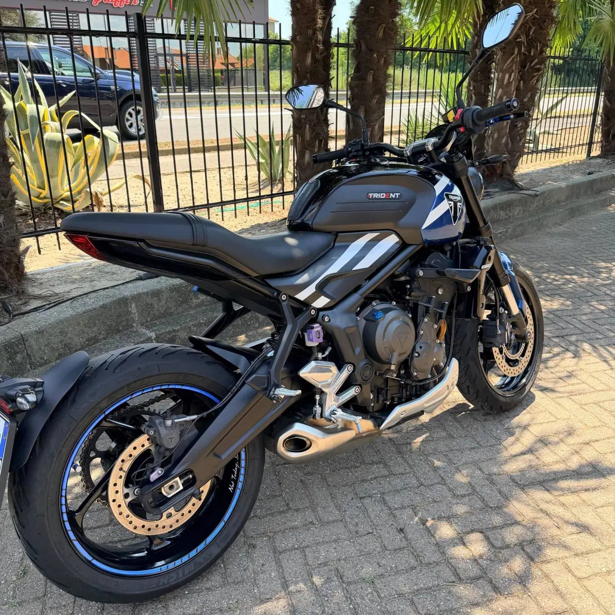 Triumph Trident 660 (2021 - 24) (2)