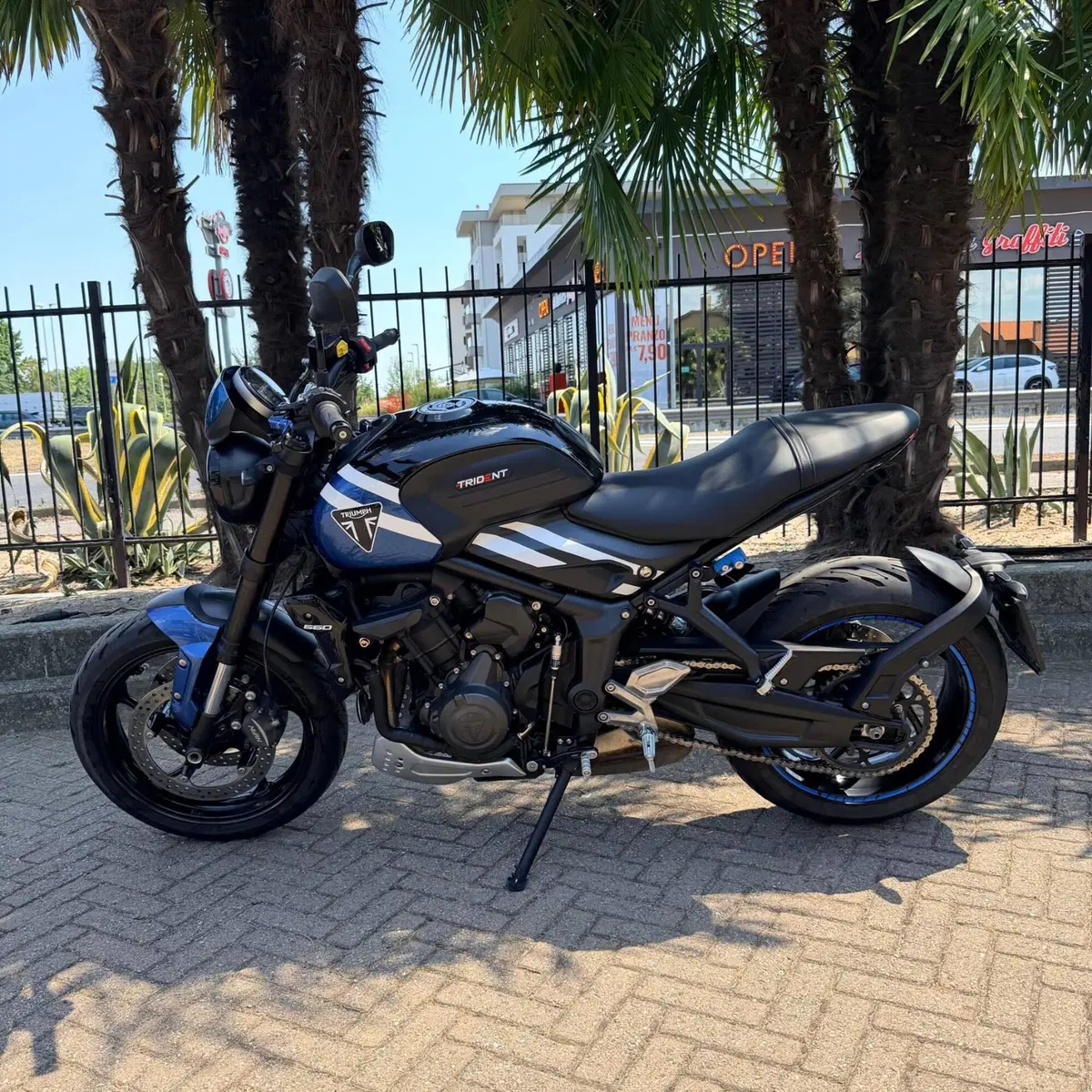 Triumph Trident 660 (2021 - 24) (5)