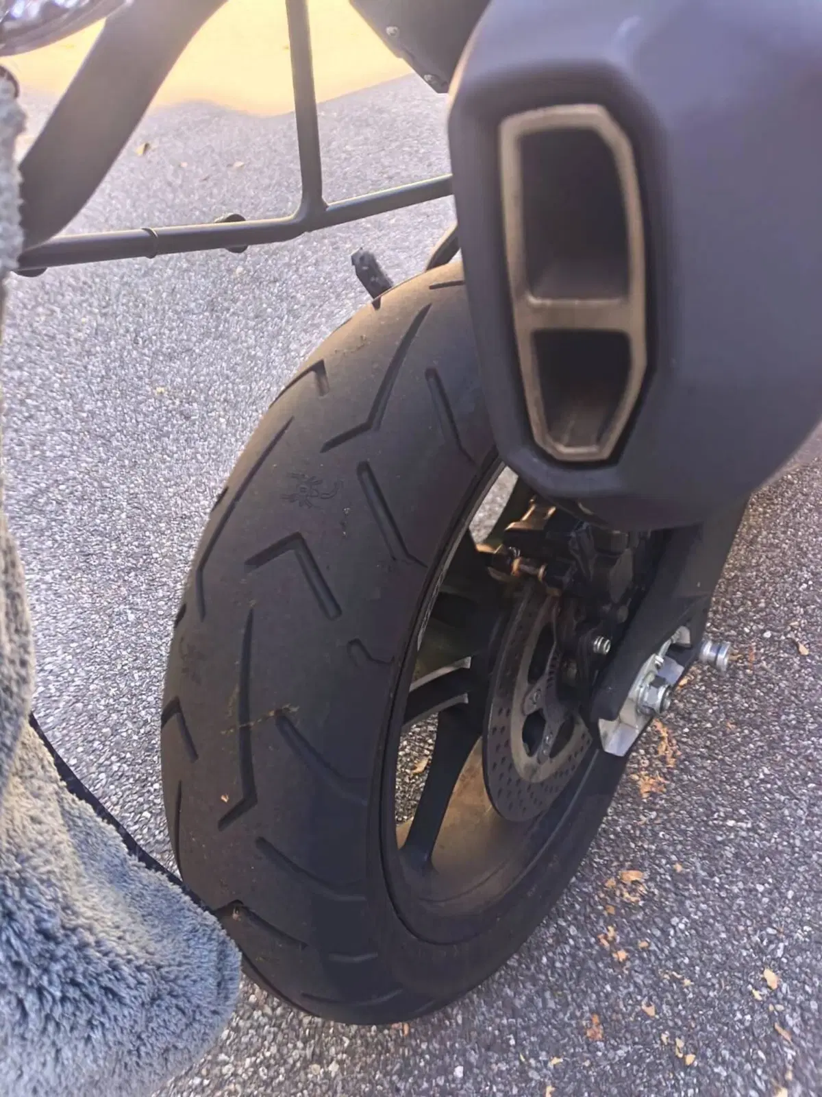 Benelli TRK 702 (2023 - 25) (8)