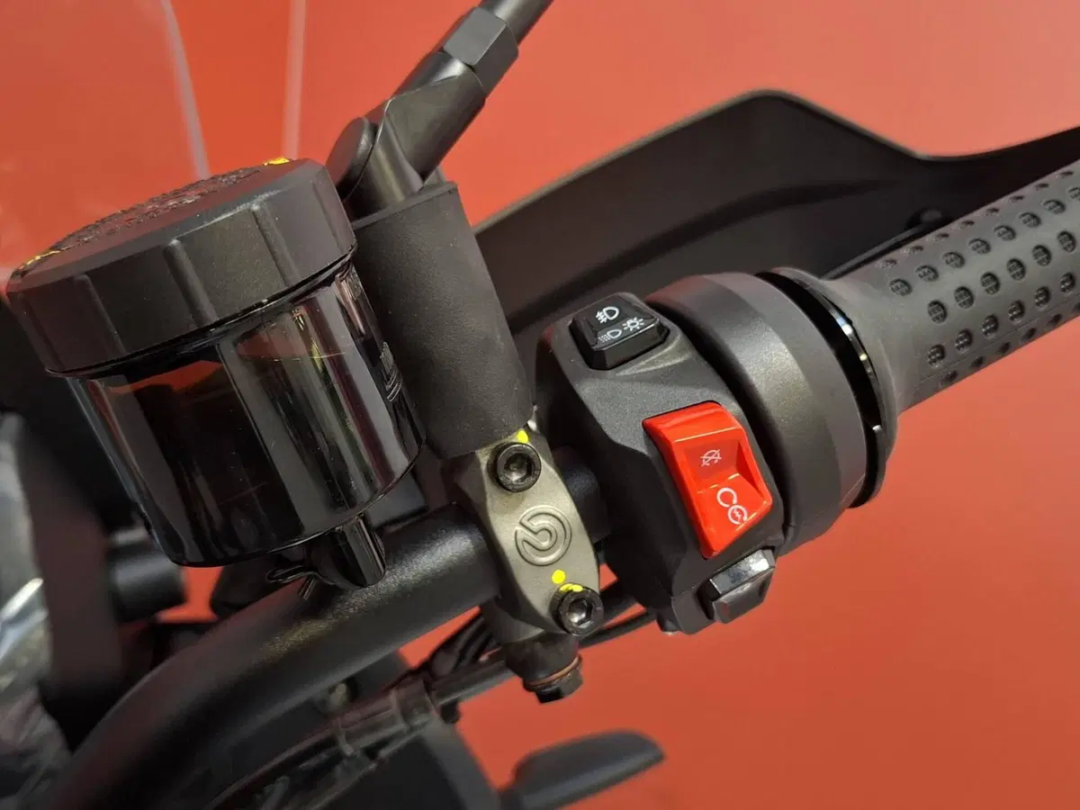 Moto Guzzi Stelvio Duecento Tributo (2025 - 26) (10)