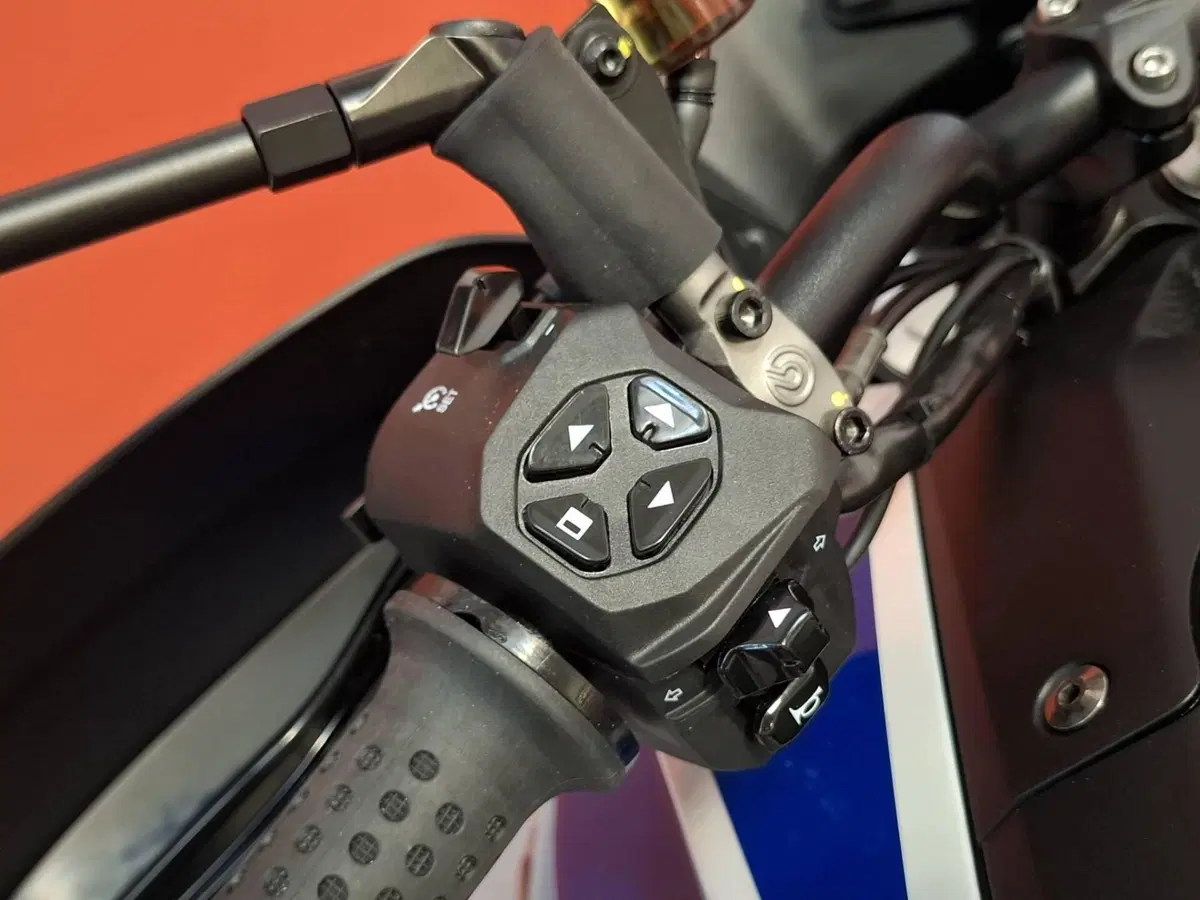 Moto Guzzi Stelvio Duecento Tributo (2025 - 26) (12)